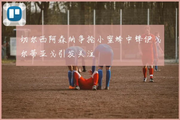 切尔西阿森纳争抢小蜜蜂中锋伊戈尔蒂亚戈引发关注