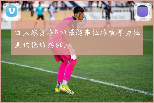 白人球员在NBA崛起弗拉格被誉为拉里伯德的接班人